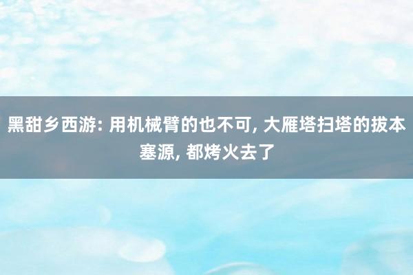 黑甜乡西游: 用机械臂的也不可, 大雁塔扫塔的拔本塞源, 都烤火去了