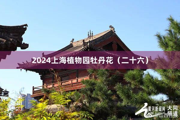 2024上海植物园牡丹花（二十六）