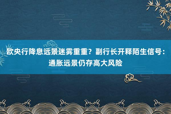 欧央行降息远景迷雾重重？副行长开释陌生信号：通胀远景仍存高大风险