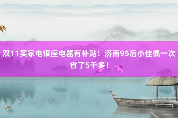 双11买家电银座电器有补贴！济南95后小佳偶一次省了5千多！