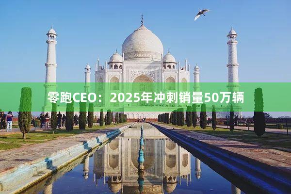 零跑CEO：2025年冲刺销量50万辆